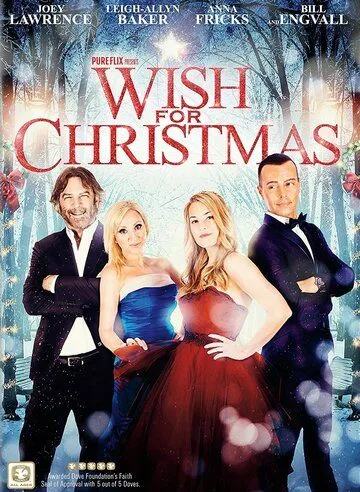 Рождественское желание / Wish for Christmas (2016)