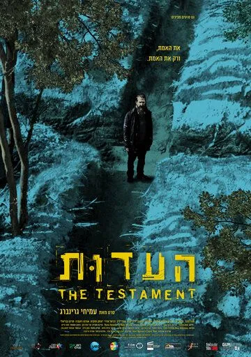 Свидетельство / The Testament (2017)