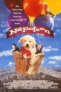 Наполеон / Napoleon (1995)