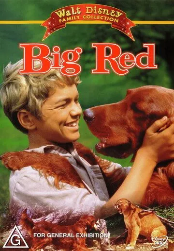 Большой Ред / Big Red (1962)