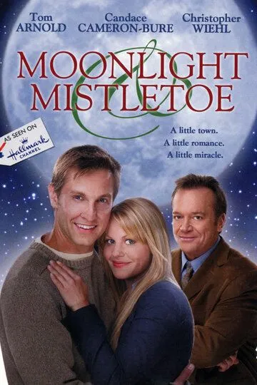 Спасти сказку / Moonlight & Mistletoe (2008)