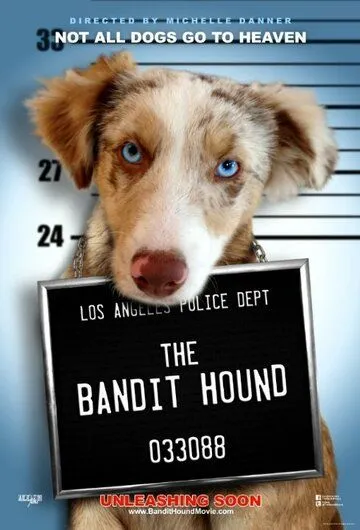 Пёс Бандит / The Bandit Hound (2016)