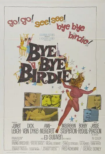 Пока, пташка / Bye Bye Birdie (1963)