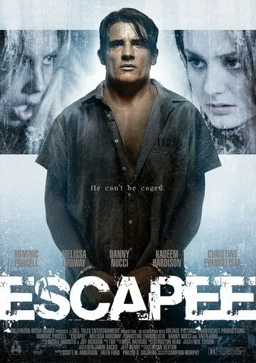 Беглец / Escapee (2011)