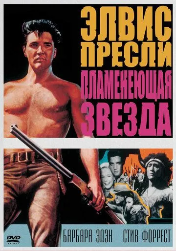 Пламенеющая звезда / Flaming Star (1960)