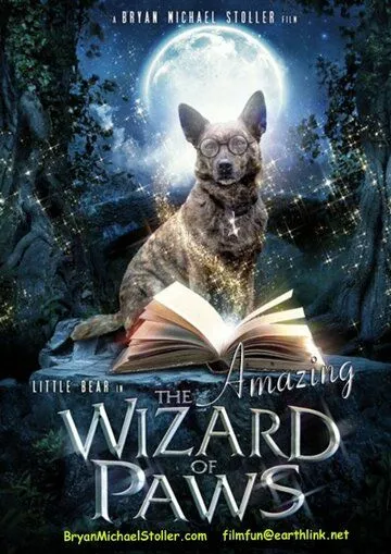 Удивительный волшебник из Лапы / The Amazing Wizard of Paws (2015)