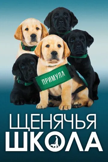 Щенячья школа / Pick of the Litter (2018)