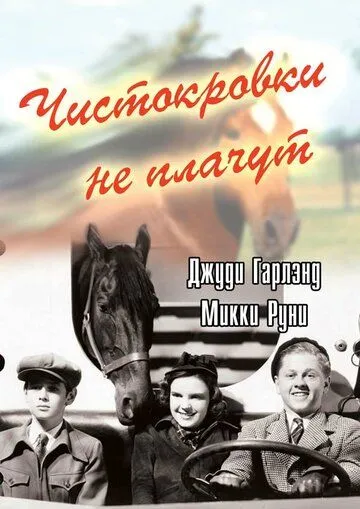 Чистокровки не плачут / Thoroughbreds Don't Cry (1937)