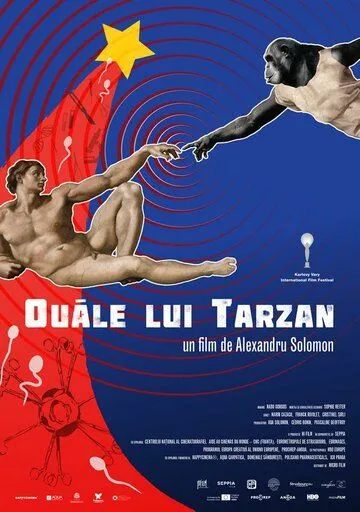 Сокровище Тарзана / Ouale lui Tarzan (2017)