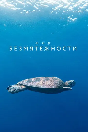 Мир безмятежности / A World of Calm (2020)