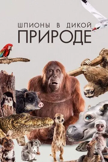 Шпионы в дикой природе / Spy in the Wild (2017)