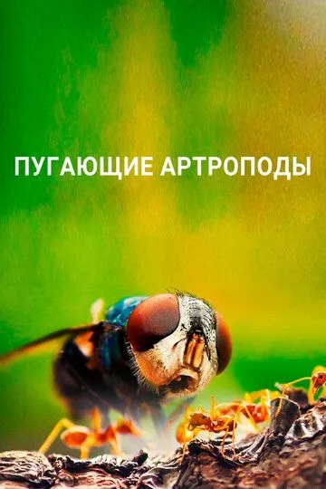 Пугающие артроподы / Creepy Crawlies (2020)