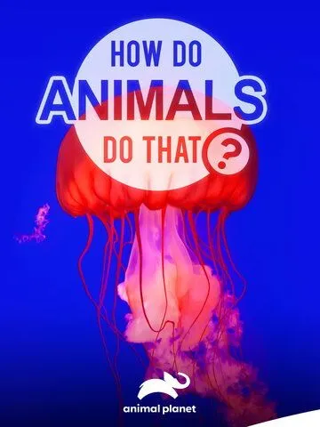 Удивительный мир животных / How do Animals do That (2019)