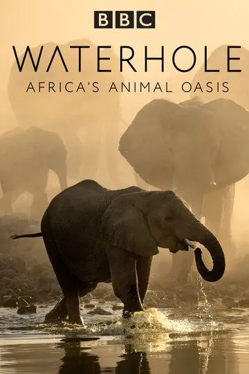 Водопой: Африканский оазис для животных / Waterhole: Africa's Animal Oasis (2020)