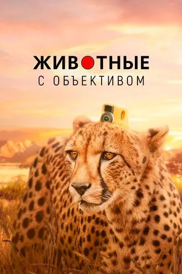 Животные с объективом / Animals with Cameras (2018)