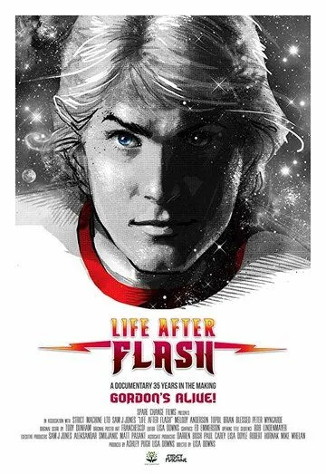 Жизнь после Флэша / Life After Flash (2017)