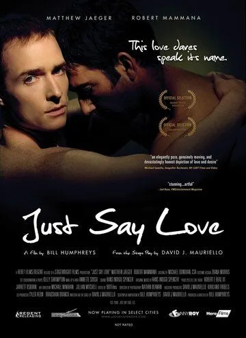 Только скажи... люблю / Just Say Love (2009)