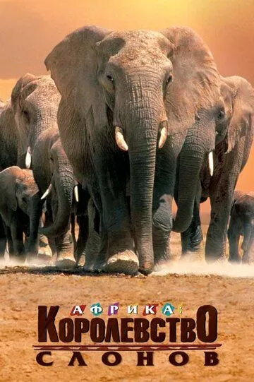 Африка - королевство слонов / Africa's Elephant Kingdom (1998)