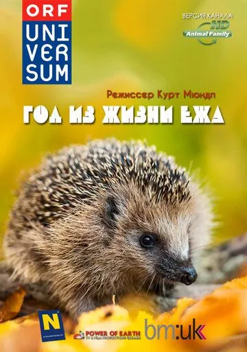 Год из жизни ежа / The Year of the Hedgehog (2009)