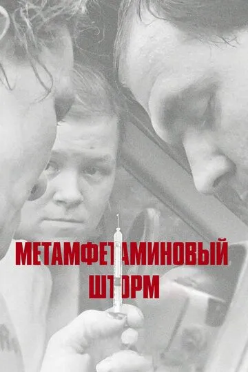 Метамфетаминовый шторм / Meth Storm (2017)