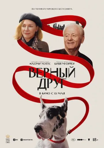 Верный друг / The Friend (2024) Верный друг / The Friend (2024)