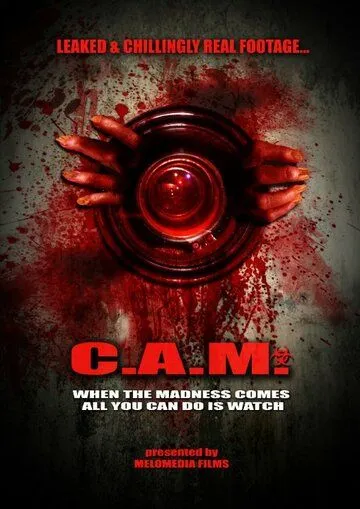 C.A.M. / (2021)