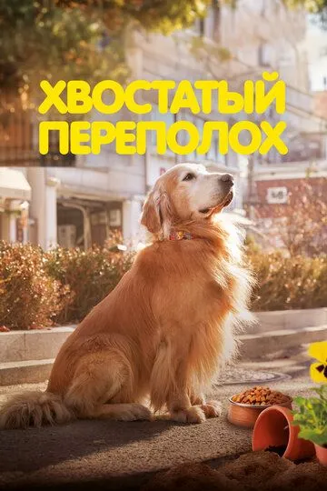 Хвостатый переполох / Dogeu deijeu (2024) Хвостатый переполох / Dogeu deijeu (2024)
