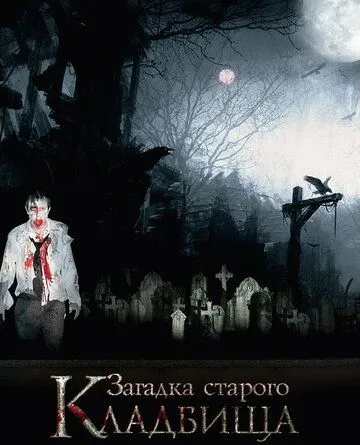 Загадка старого кладбища / (2008)
