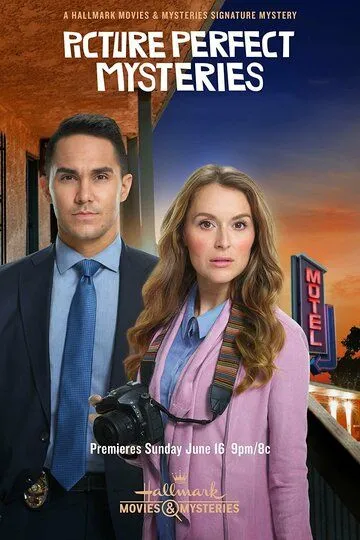 Picture Perfect Mysteries: Newlywed and Dead / (2019)