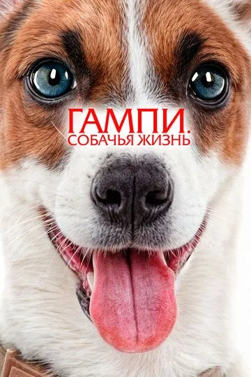 Гампи. Собачья жизнь / Gump - Jsme dvojka (2024)