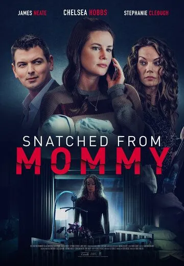 Snatched from Mommy / (2021)