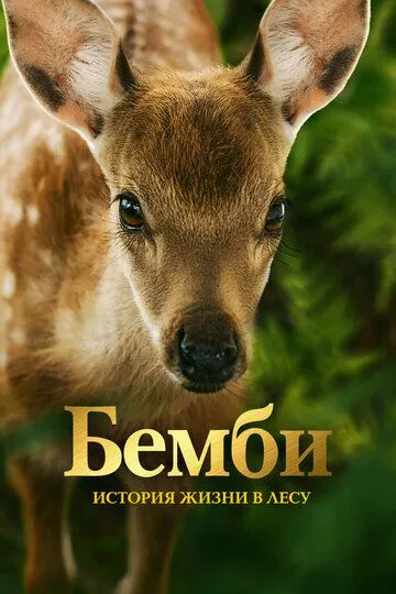 Бемби. История жизни в лесу / Bambi, l'histoire d'une vie dans les bois (2024)