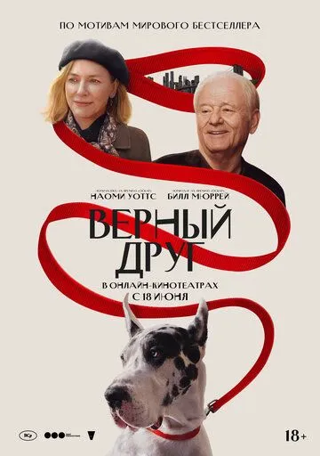 Верный друг / The Friend (2024)
