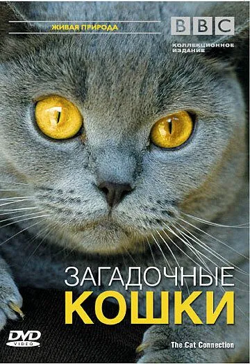 BBC: Загадочные кошки / The Cat Connection (2002)