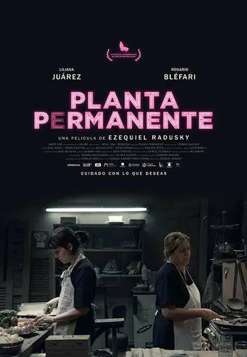 Planta permanente / (2019)