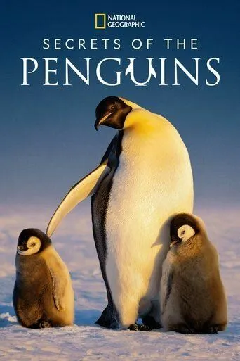 Secrets of the Penguins / (2025)