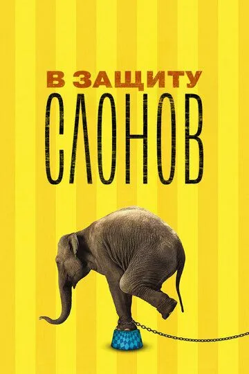 В защиту слонов / An Apology to Elephants (2013)