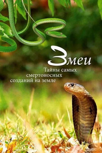 Змеи. Тайны самых смертоносных созданий на земле / Snakes, Secrets of Nature's Deadliest Creatures (2014)