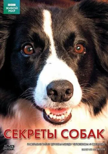 BBC: Секреты собак / Secret Life of the Dog (2010)