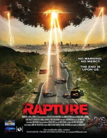 Новый апокалипсис. Молния судьбы / Rapture (2019)