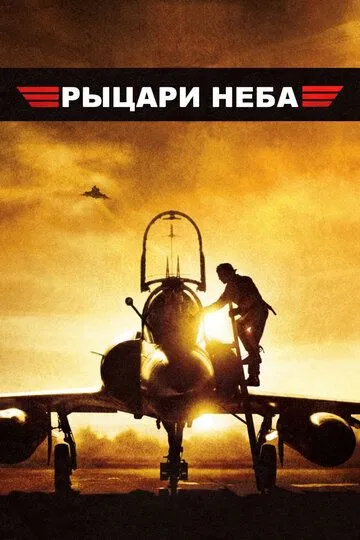 Рыцари неба / Les chevaliers du ciel (2005)