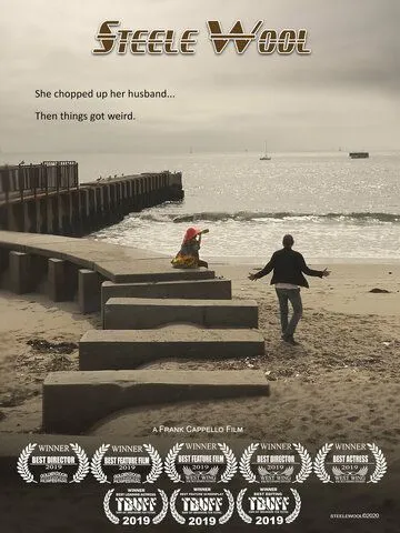 Стил и Вул / Steele Wool (2019)