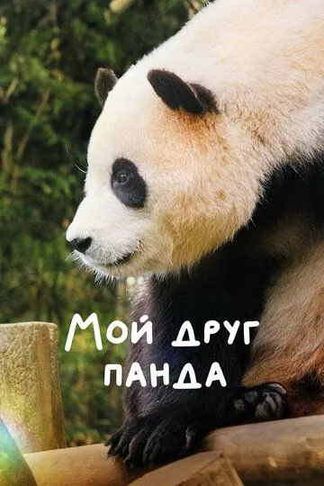 Мой друг панда / Annyeong, halbuji (2024)
