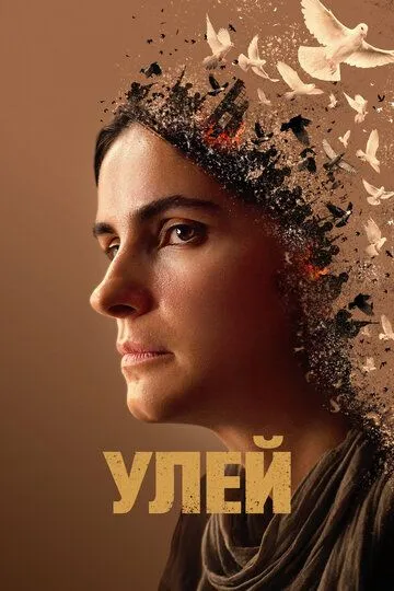 Улей / Zgjoi (2020)