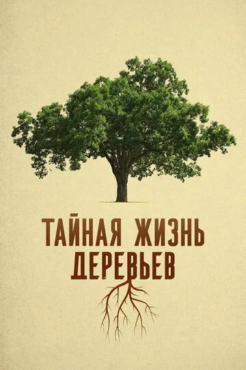Тайная жизнь деревьев / Le génie des arbres (2020)