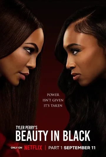 Красота в тёмных тонах / Beauty in Black (2024)