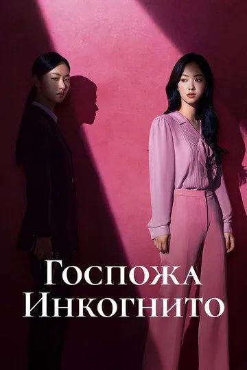 Госпожа Инкогнито / Jakhan yeoja Bu Semi (2025)