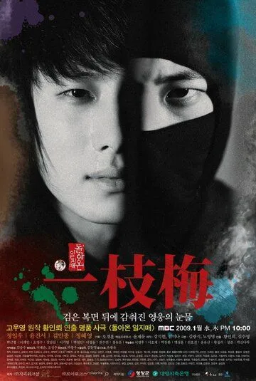 Возвращение Ильджимэ / Dolanon Iljimae (2009)