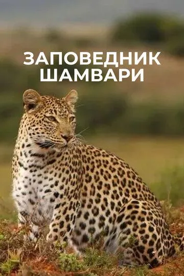 Заповедник Шамвари / Shamwari Untamed (2018)