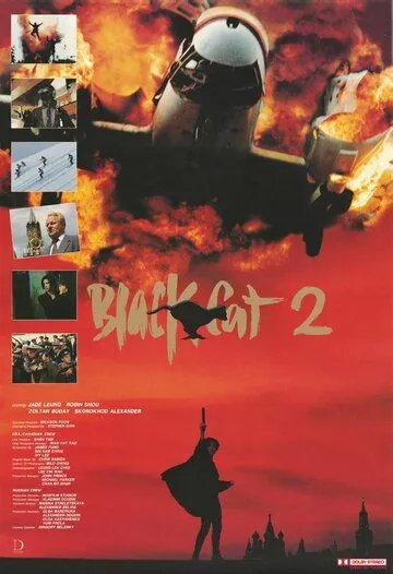 Чёрная кошка 2 / Hak mau II: ci saat jip lei jam (1992)